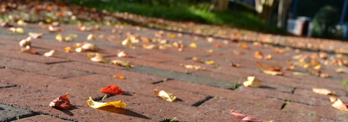 Pavers maintenance What Is The Easiest Way to Maintain Pavers and Hardscapes paver maintenance