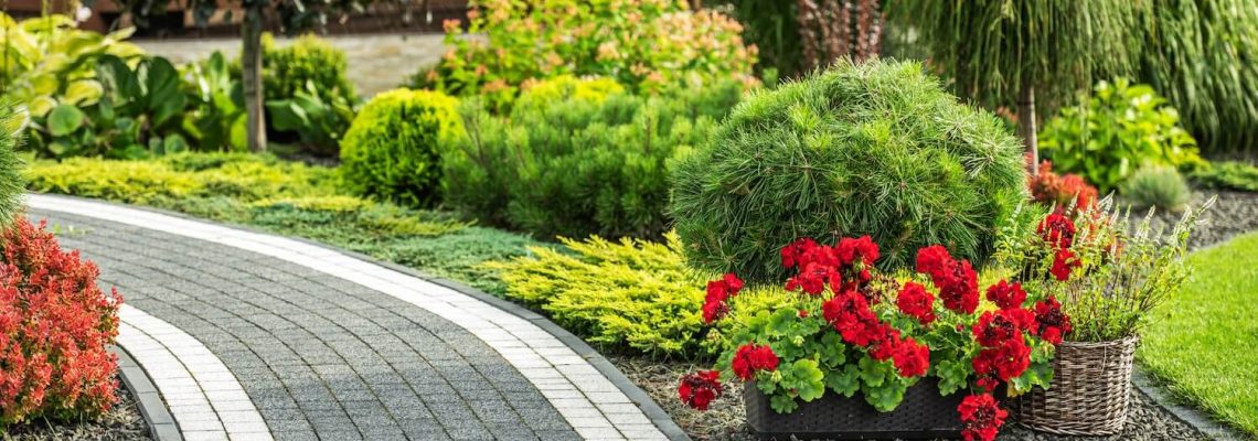 Why Paver Walkways are a Much Better Option Than Regular Concrete Sidewalks home